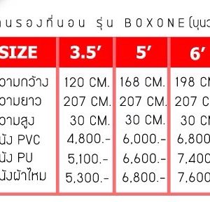 ราคาฐานรองที่นอนไม่มีหัวเตียงรุ่น บุนวม